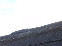 fkillineybeforeexternal 1450.jpg
